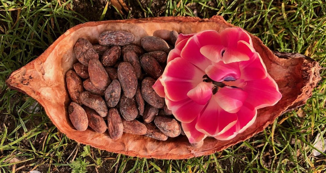 Cacao Zeremonie Berlin
