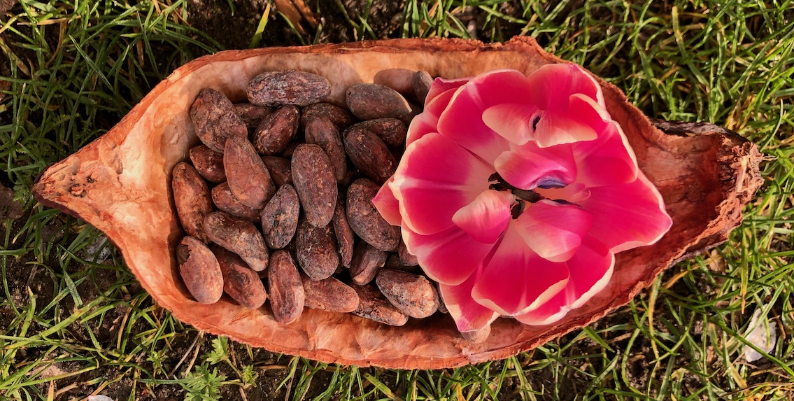 Cacao-Zeremonie-Altar
